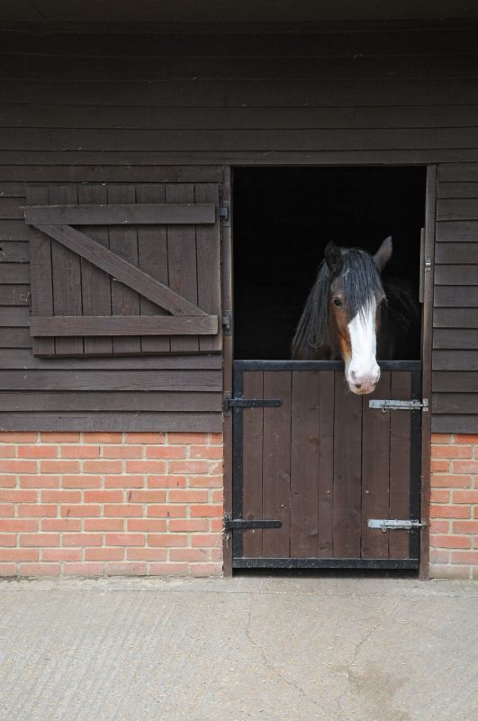 Horse Stall Repair in Olathe, KS