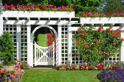 Arbor Replacement in Alpharetta, GA