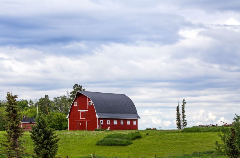 Barn Renovation in Kansas City, KS