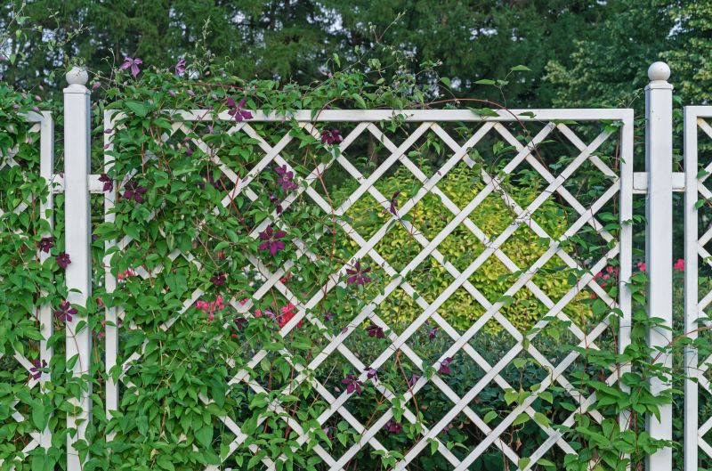 Fence Trellis Installation in Conroe, TX