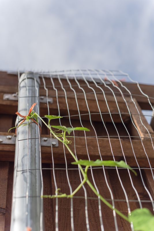 Fence Trellis Installation in Conroe, TX