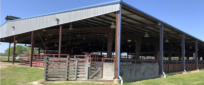 Horse Barn Construction in Conroe, TX