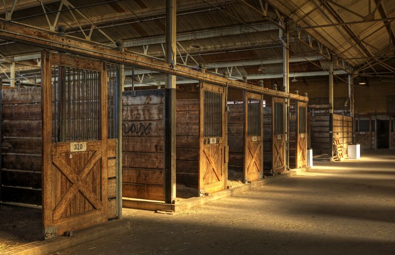 Horse Shelter Construction in Kansas City, KS