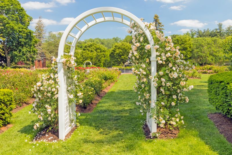 Rose Trellis Installation in Conroe, TX