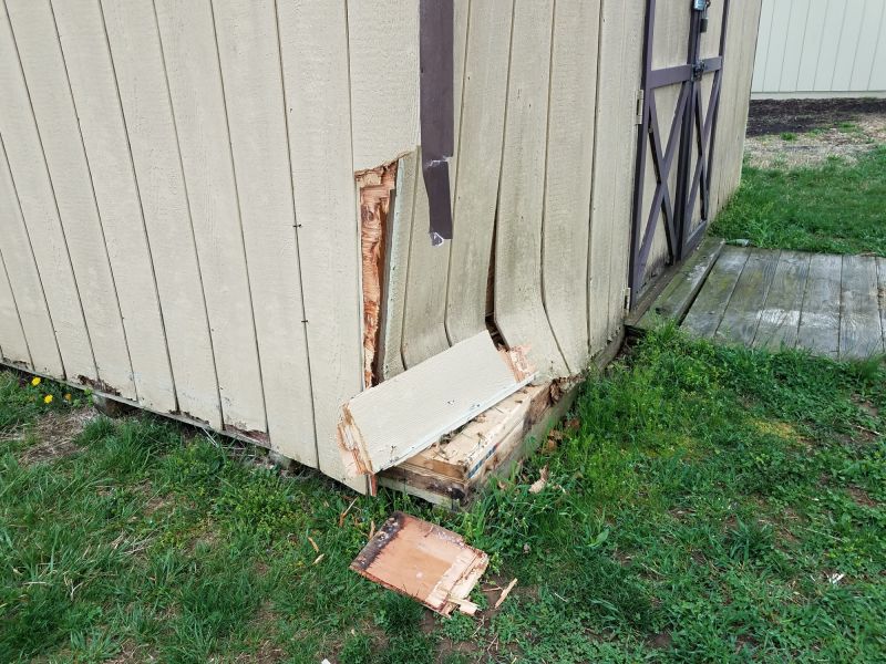 Shed Damage Repair in Conroe, TX