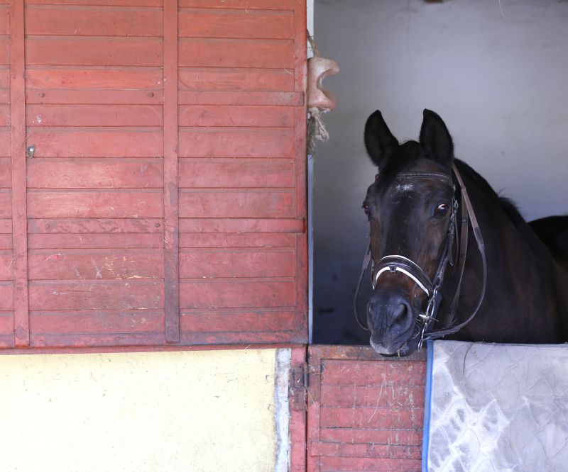 Stable Repair in Olathe, KS