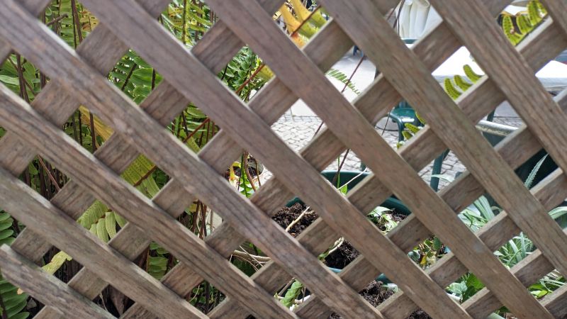 Wood Trellis Installation in Kansas City, KS