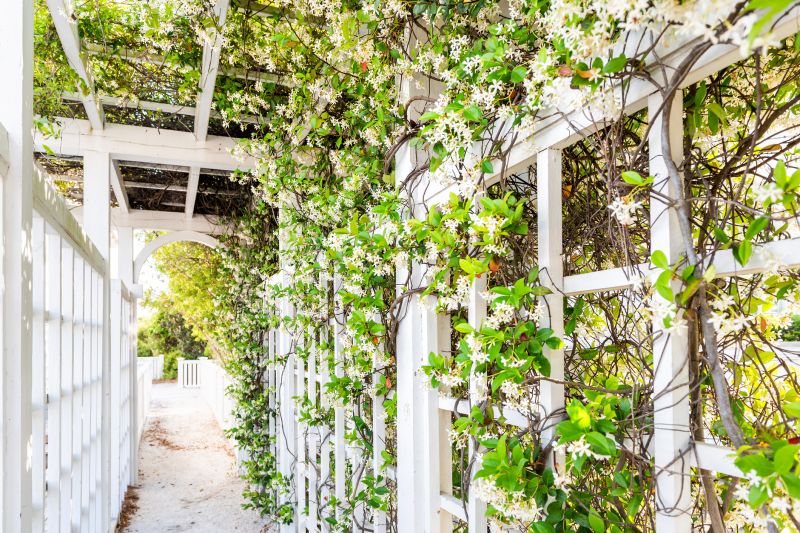 Wood Trellis Installation in Wilmington, NC